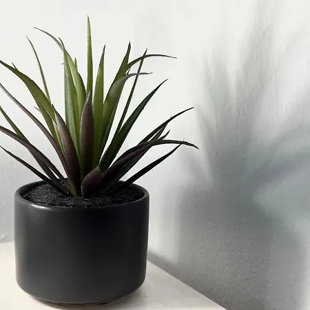 Spacious Green Cosy Near Maribor * Pesnica pri Mariboru