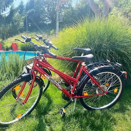 Lägenhet Spacious Green Cosy Near Maribor