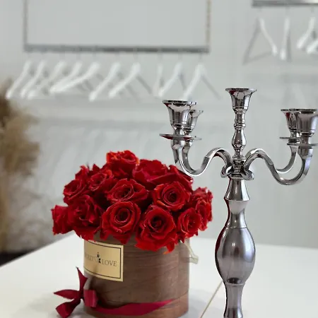 Spacious Green Cosy Near Maribor * Pesnica pri Mariboru