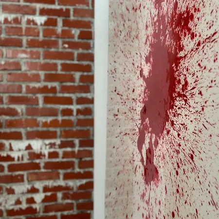 Spacious Green Cosy Near Maribor