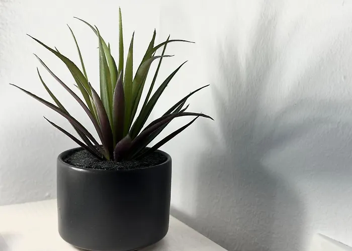 Spacious Green Cosy Near Maribor * Pesnica pri Mariboru